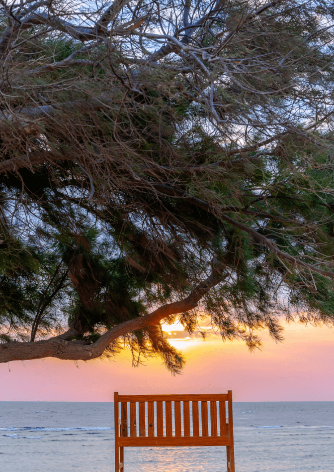 Dive in turquoise waters at Orca Diving Center