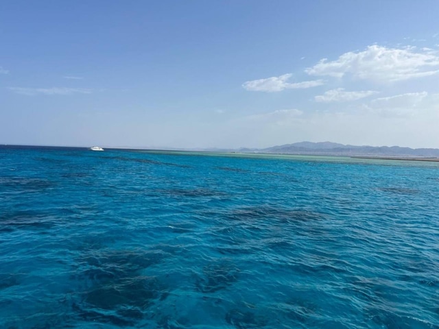 Cozy Beachfront Cabin at Mesca
