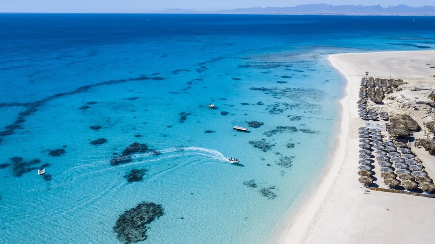 Red Sea Snorkeling